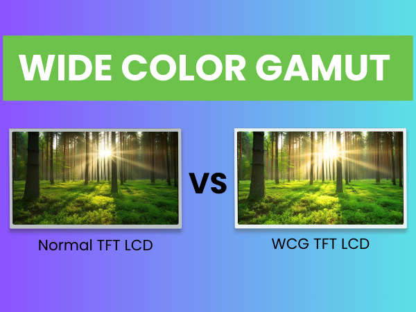 What is a Wide Color Gamut TFT LCD?