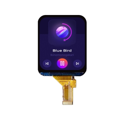 1.69 inch IPS TFT LCD