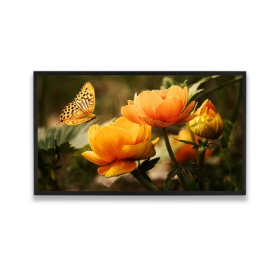32 inch Industrial LCD Module