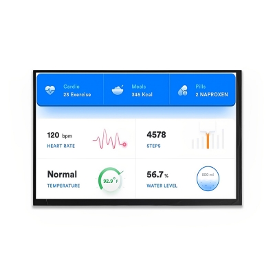 10.1 inch TFT LCD Screen