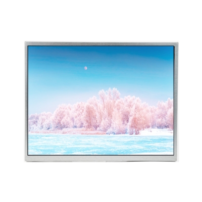 12,1 Zoll 1024x768 Industrie-LCD-Modul